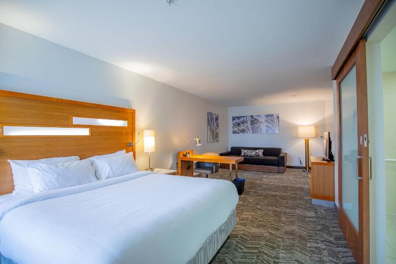 스탠다드 스튜디오 킹침대, Springhill Suites By Marriott Baton Rouge Gonzales