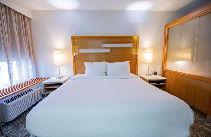 إستوديو قياسى سرير كينج, Springhill Suites By Marriott Baton Rouge Gonzales