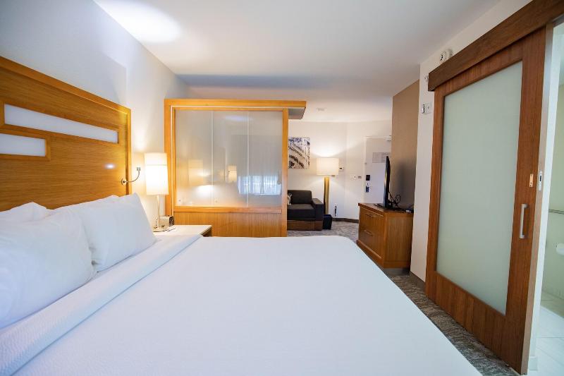 إستوديو قياسى سرير كينج, Springhill Suites By Marriott Baton Rouge Gonzales