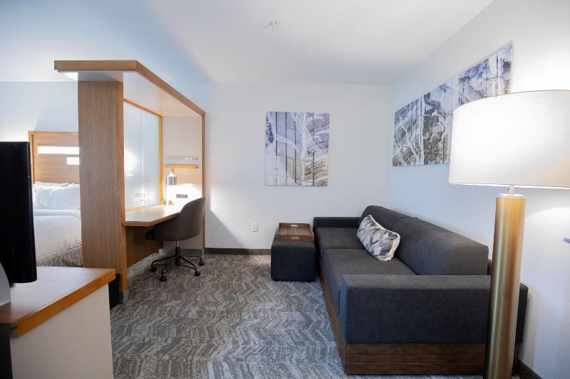 إستوديو قياسى سرير كينج, Springhill Suites By Marriott Baton Rouge Gonzales