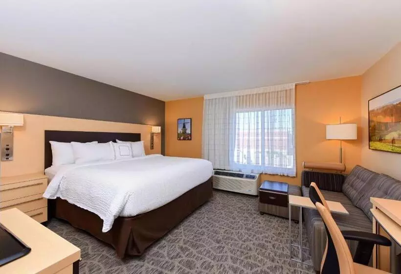 キングサイドベッドのスタンダードワンルーム, Towneplace By Marriott Suites Detroit Auburn Hills