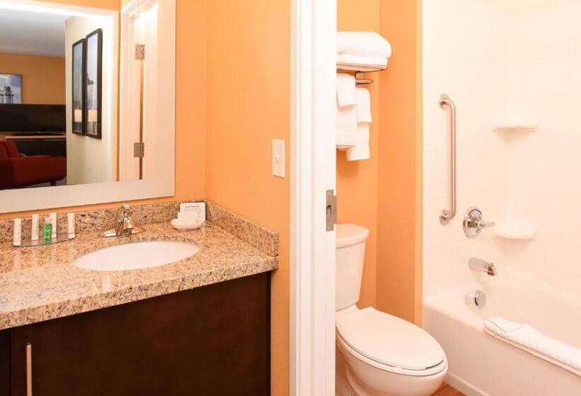 标准工作室, Towneplace By Marriott Suites Detroit Auburn Hills