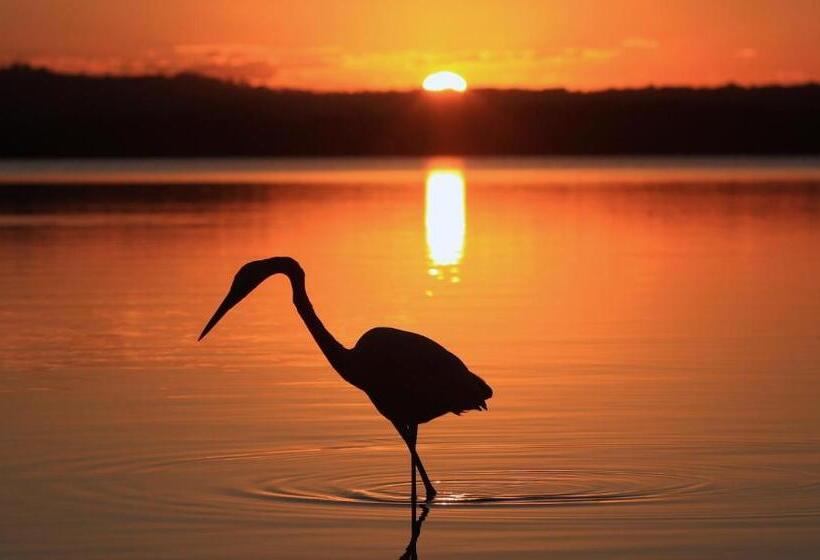 Хижина, Lake Weyba Cottages Noosa