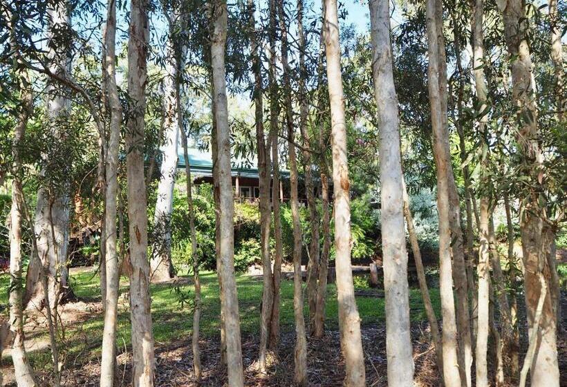오두막, Lake Weyba Cottages Noosa