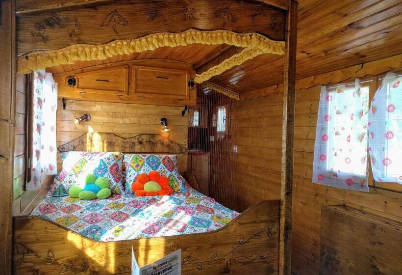 غرفة قياسية, Valsoyo