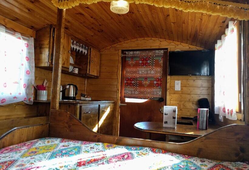 غرفة أساسية, Valsoyo