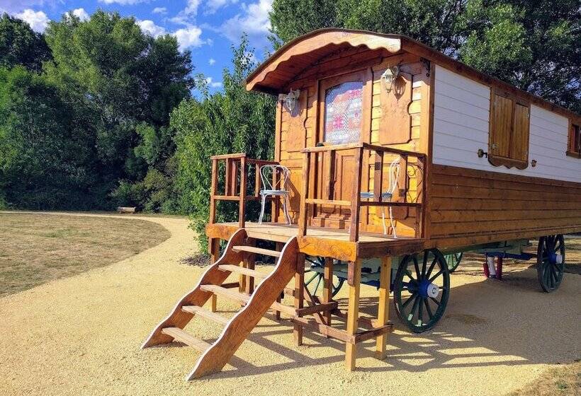 غرفة أساسية, Valsoyo