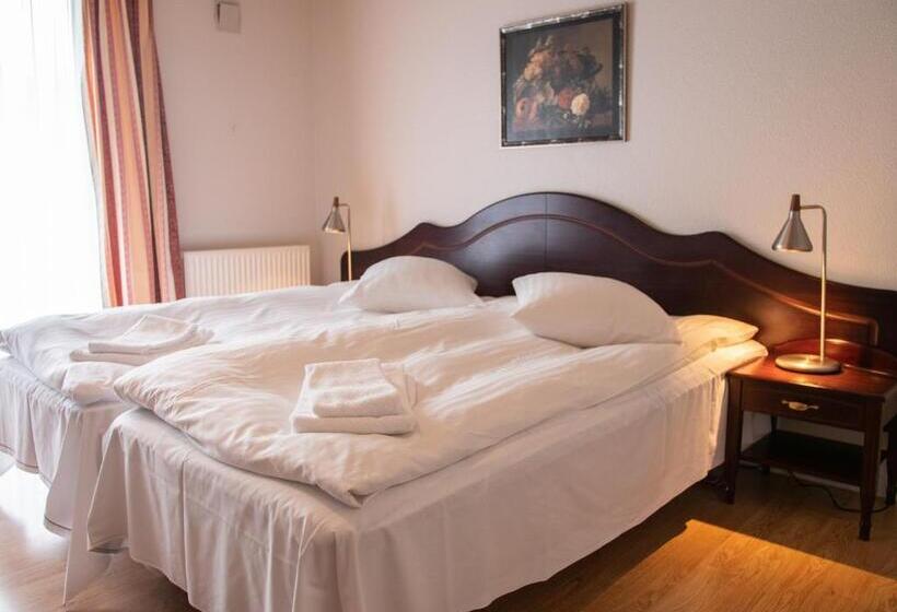 חדר סטנדרט לארבעה, Søgården Brørup