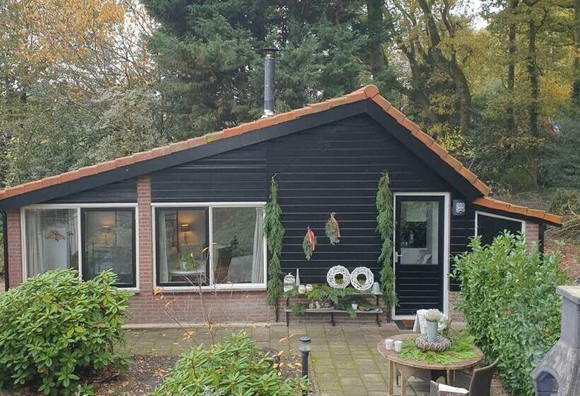 スタンダードルーム, Benb Op De Vleet