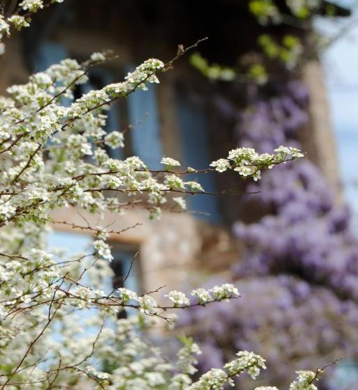 豪华房间, Chambre Privative Et Originale, à 20 Mn De Cluny