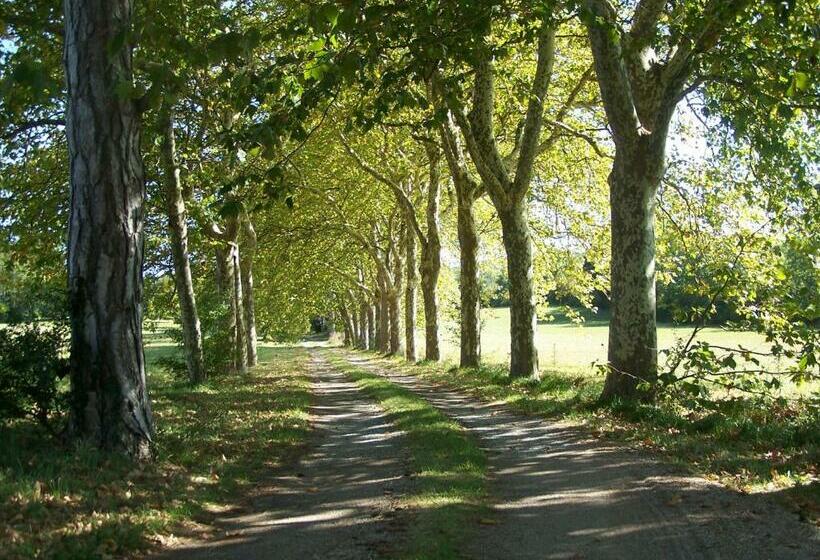 Номер Стандарт, Domaine De Las Planques
