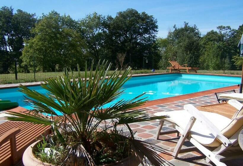 스탠다드 룸, Domaine De Las Planques