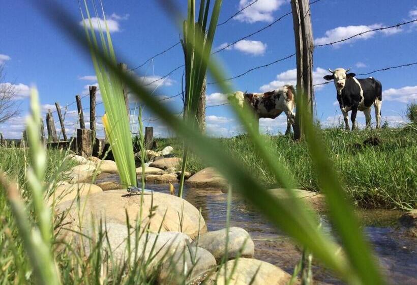 スタンダードルーム, Domaine Du Moulin De Jeanne
