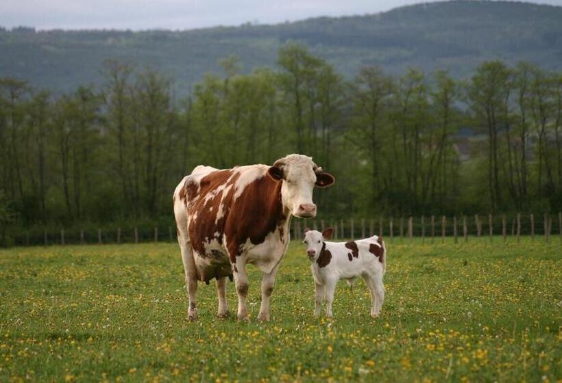 ２ベッドルームハウス, Domaine Du Moulin De Jeanne