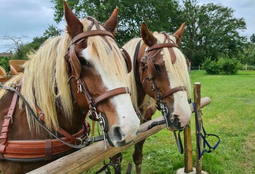 غرفة ديلوكس مطلة على المدينة, L Eléphant Heureux