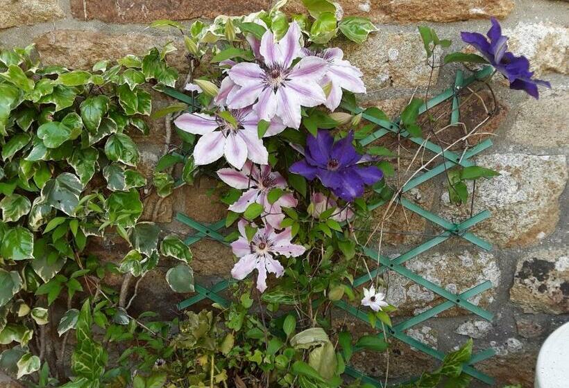 חדר סטנדרט נוף לגינה, Ty Evelyne 11 Kernevez Botmeur