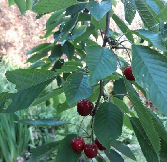 带共用浴室的标准房间, Bed Vue Sur Vallée De La Meuse Namur