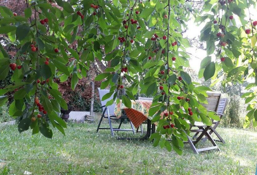 带共用浴室的标准房间, Bed Vue Sur Vallée De La Meuse Namur