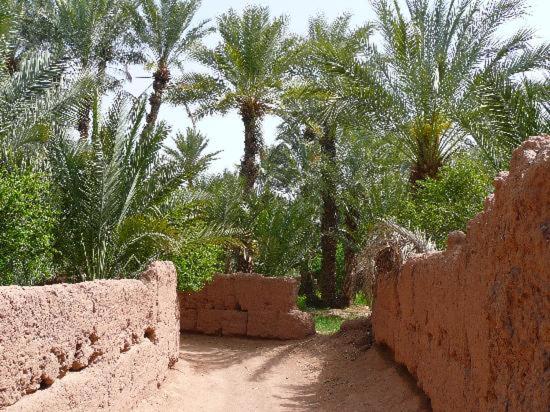 غرفة قياسية مطلة على الجبل, Kasbah Timidarte