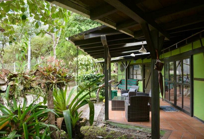 스탠다드 트리플 룸, Tambo Quinde