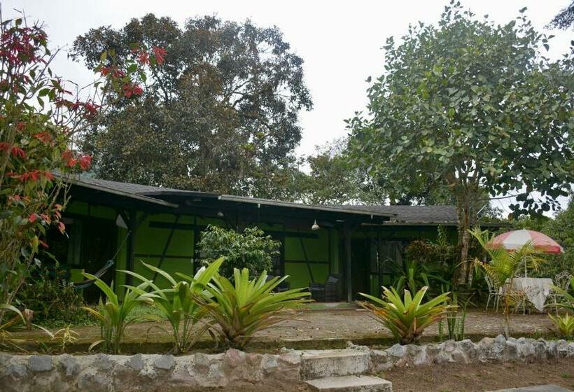 스탠다드 트리플 룸, Tambo Quinde