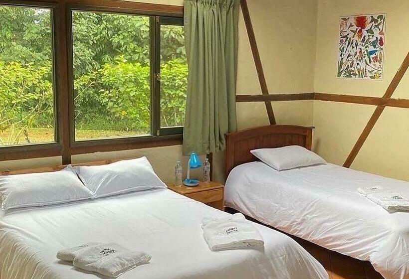 스탠다드 트리플 룸, Tambo Quinde