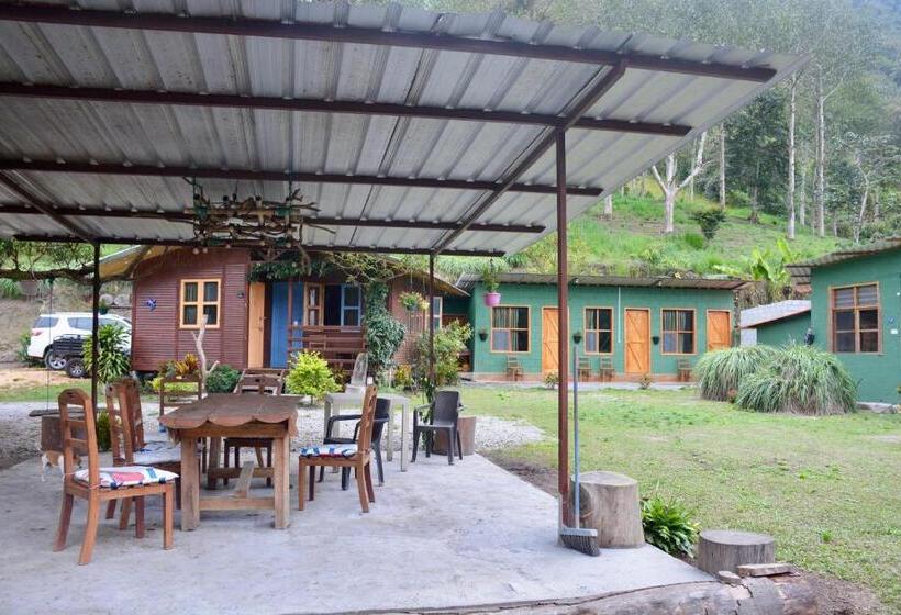 스탠다드 룸, Tambo Quinde