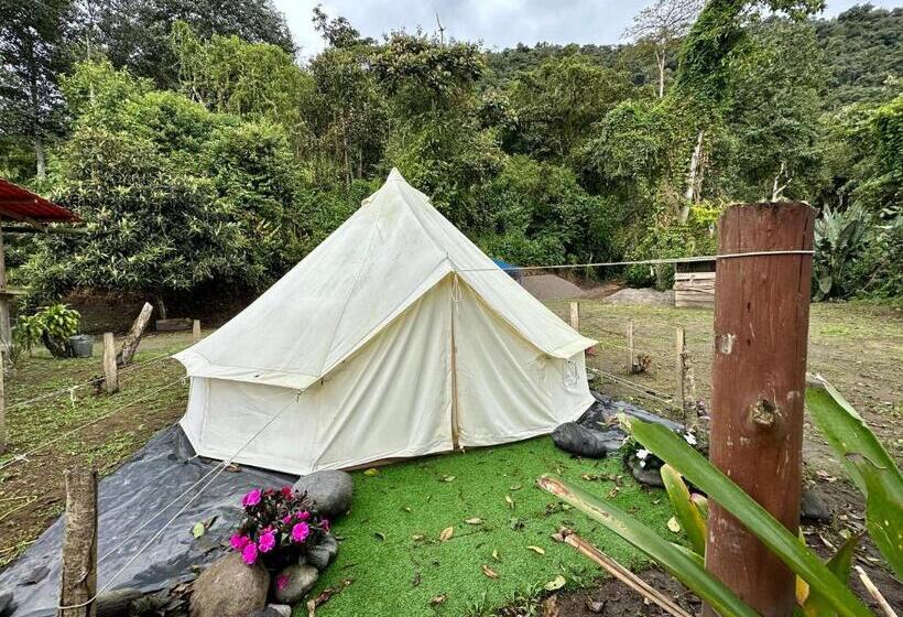 Standard Tent, Tambo Quinde