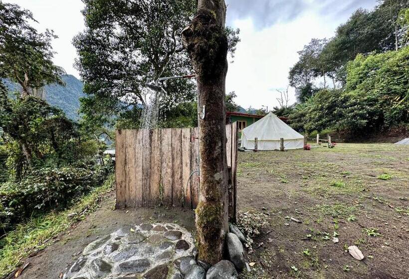 Standard Tent, Tambo Quinde