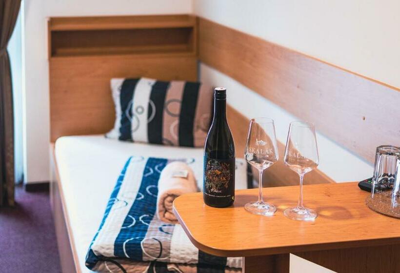 スタンダードルーム, Vinné Sklepy Skalák