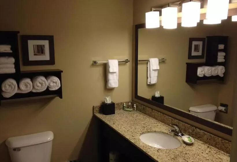 キングサイズベッドのスタンダードルーム, Grandstay Hotel & Suites   Glenwood