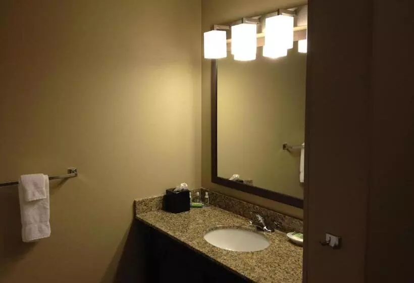 身障者適用スタンダードルーム, Grandstay Hotel & Suites   Glenwood