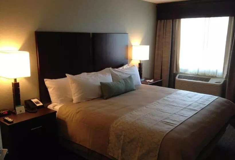 身障者適用スタンダードルーム, Grandstay Hotel & Suites   Glenwood