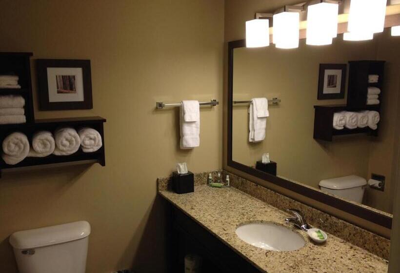 Люкс, Grandstay Hotel & Suites   Glenwood