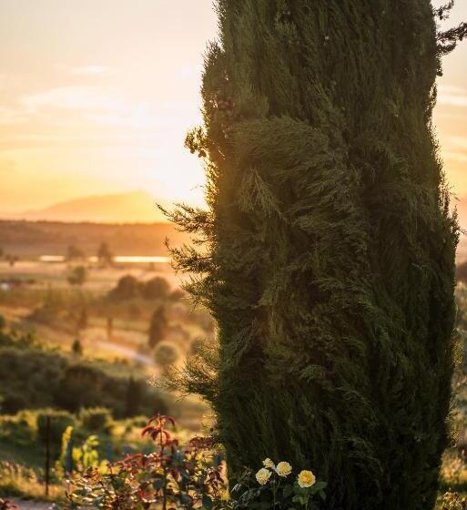 Апартаменты 2 Спальни, Agriturismo Musignano