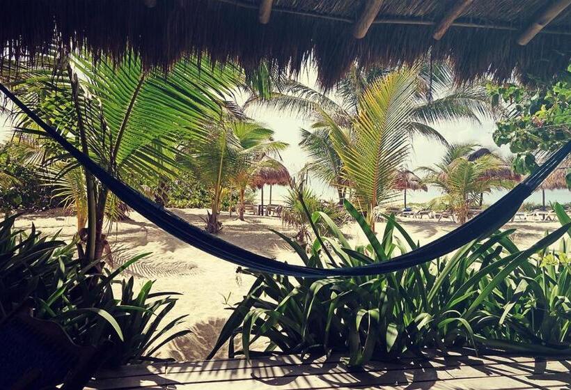 סוויטה נוף לים, Almaplena Boutique