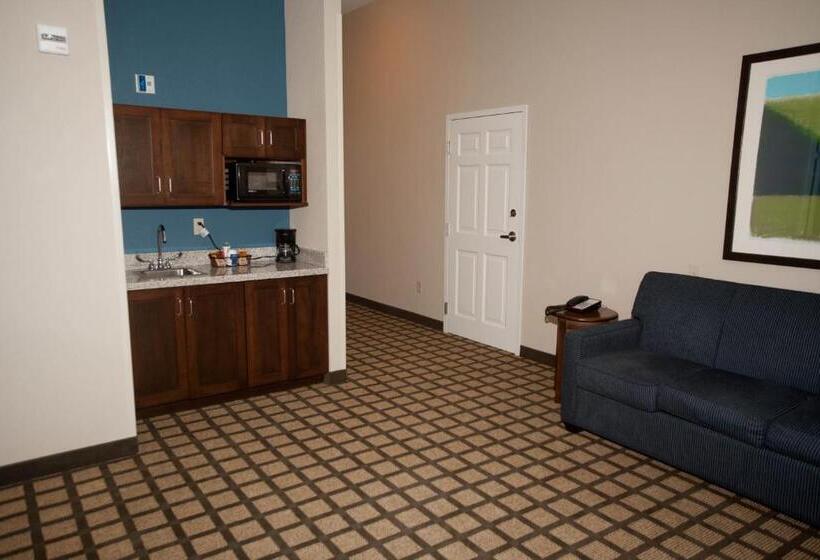 キングサイズベッドのスイートルーム, Baymont By Wyndham Erie