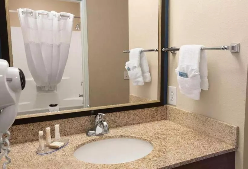 身障者適用スタンダードルーム, Baymont Inn & Suites By Wyndham Odessa