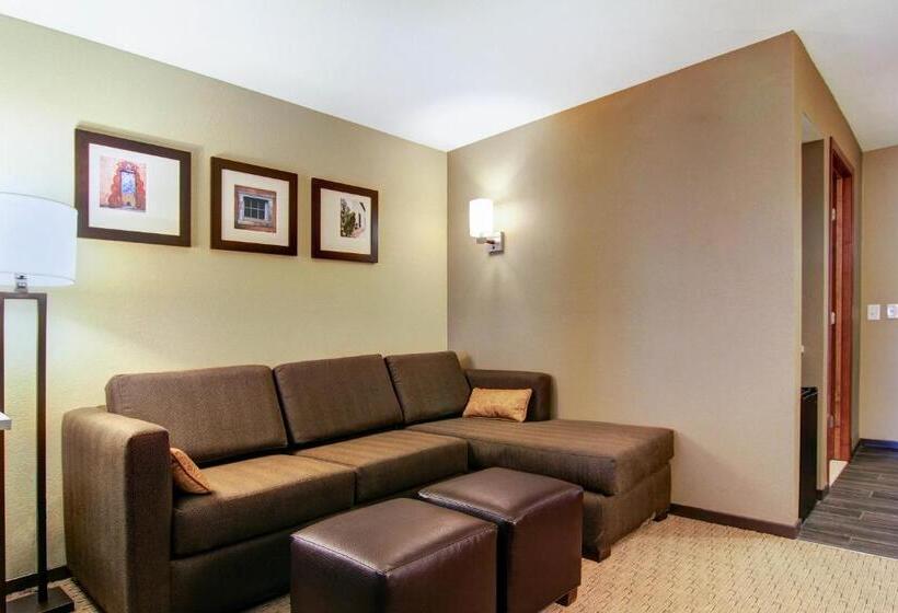جناح سرير كينج, Comfort Suites Carlsbad