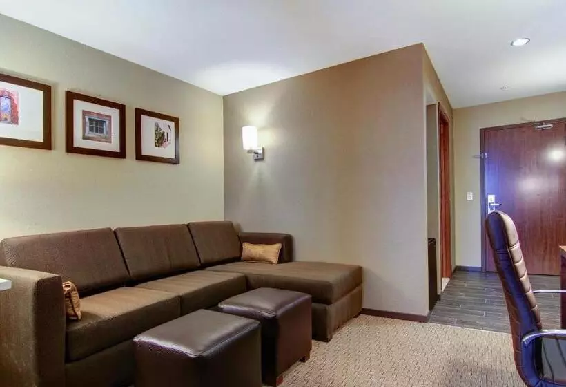 سوئیت با تخت بزرگ, Comfort Suites Carlsbad