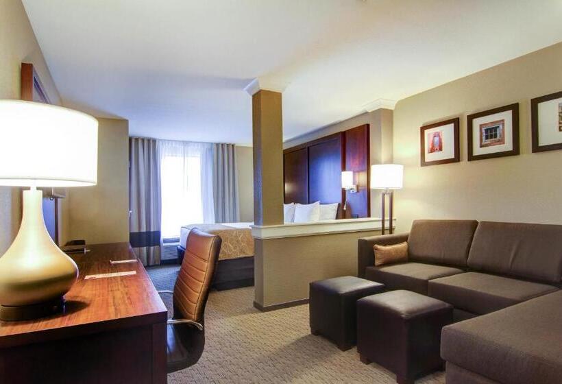 جناح سرير كينج, Comfort Suites Carlsbad