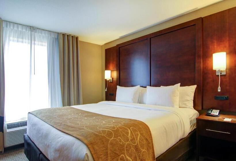 带大床的套房, Comfort Suites Carlsbad