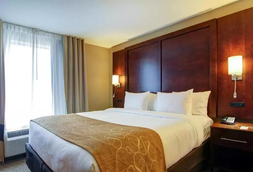 سوئیت با تخت بزرگ, Comfort Suites Carlsbad