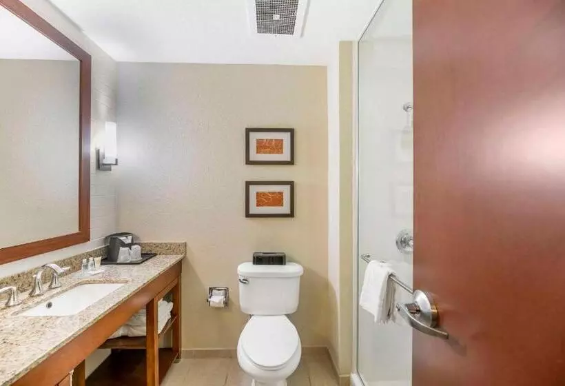سوئیت با تخت بزرگ, Comfort Suites Carlsbad
