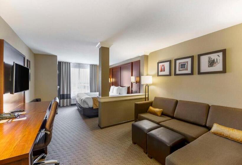 جناح سرير كينج, Comfort Suites Carlsbad