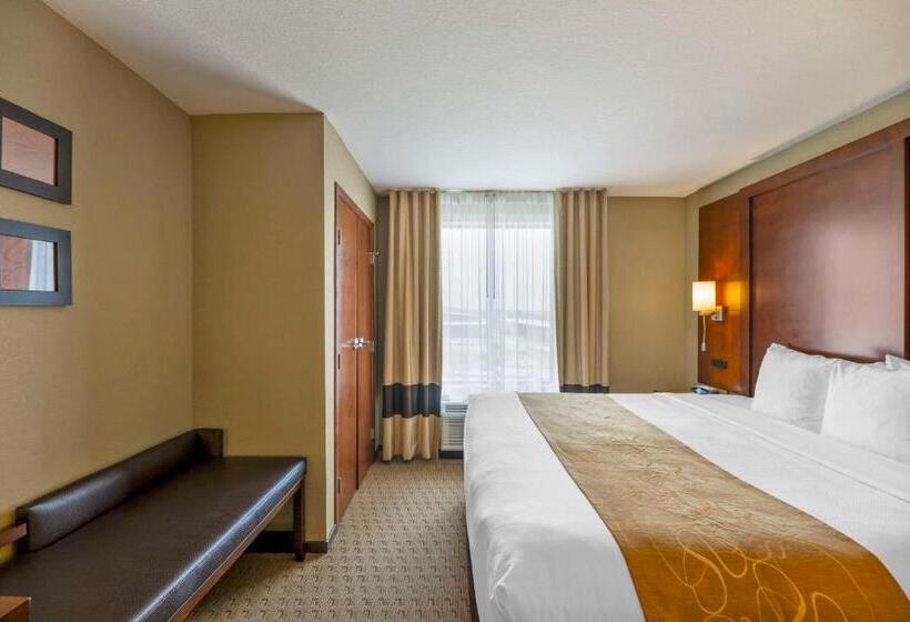 جناح سرير كينج, Comfort Suites Carlsbad