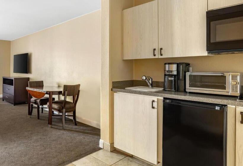 スタンダードスタジオ, Hilton Vacation Club Palm Canyon Palm Springs