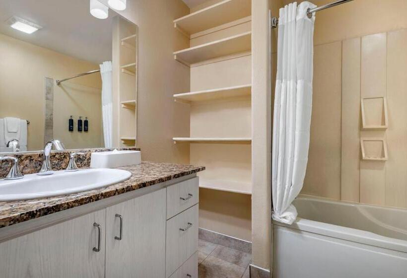 スタンダードスタジオ, Hilton Vacation Club Palm Canyon Palm Springs