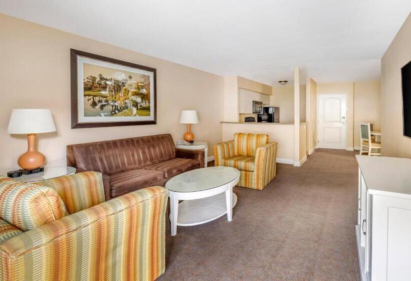 スイート, Hilton Vacation Club Palm Canyon Palm Springs