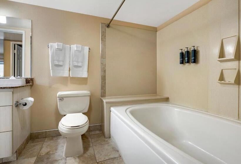Люкс 2 Спальни, Hilton Vacation Club Palm Canyon Palm Springs
